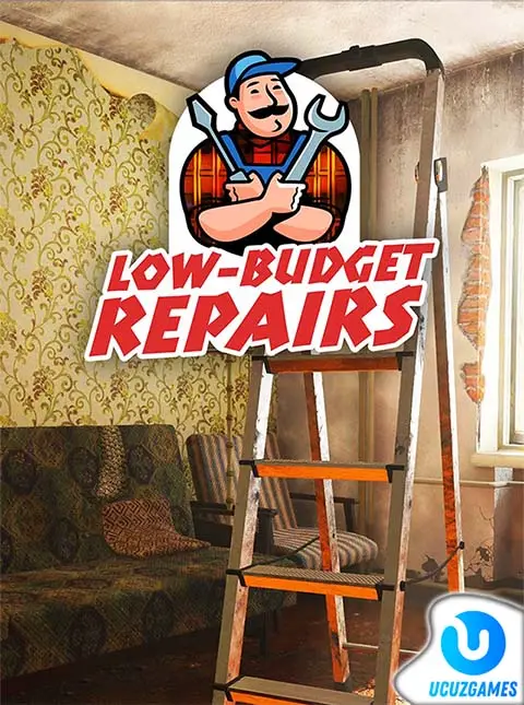 Low-Budget Repairs