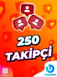 İnstagram 250 Takipçi